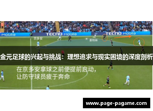 金元足球的兴起与挑战：理想追求与现实困境的深度剖析