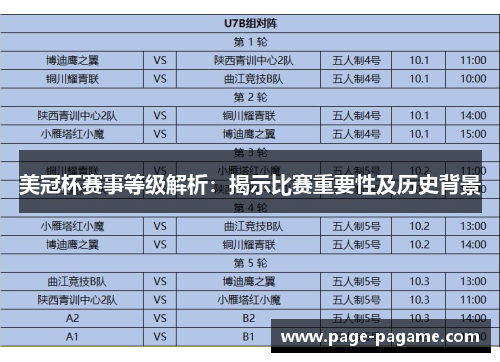 美冠杯赛事等级解析：揭示比赛重要性及历史背景