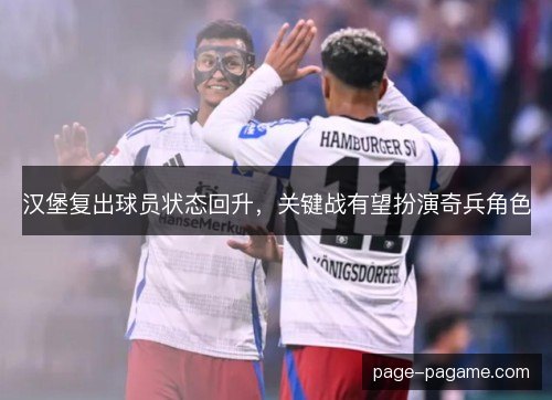 汉堡复出球员状态回升，关键战有望扮演奇兵角色